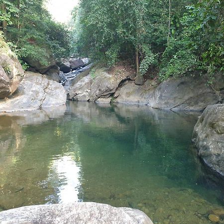 Gallene Gala Nature Resort 基图尔格勒 外观 照片