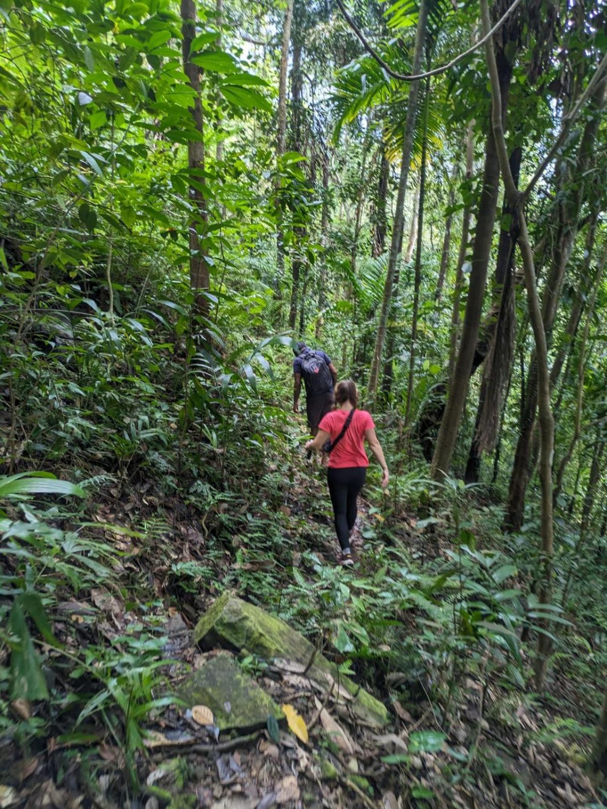 Gallene Gala Nature Resort 基图尔格勒 外观 照片