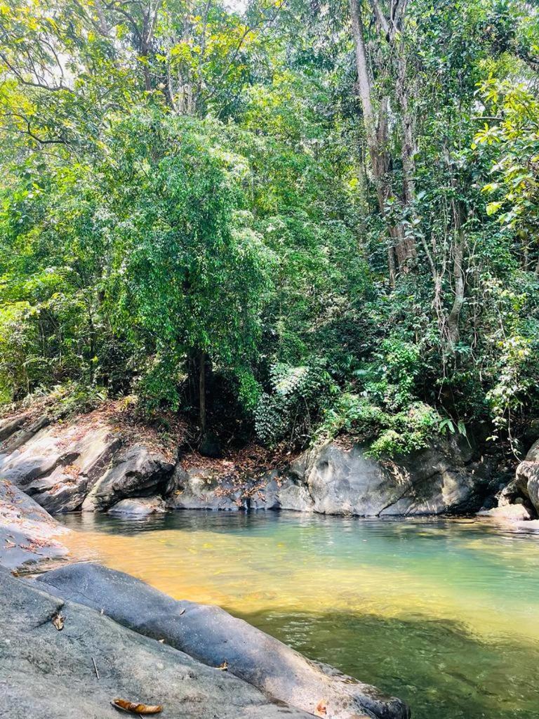 Gallene Gala Nature Resort 基图尔格勒 外观 照片