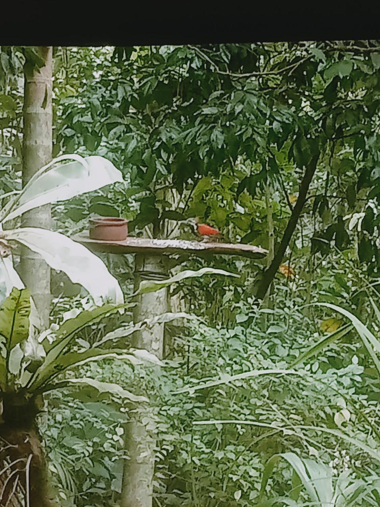 Gallene Gala Nature Resort 基图尔格勒 外观 照片