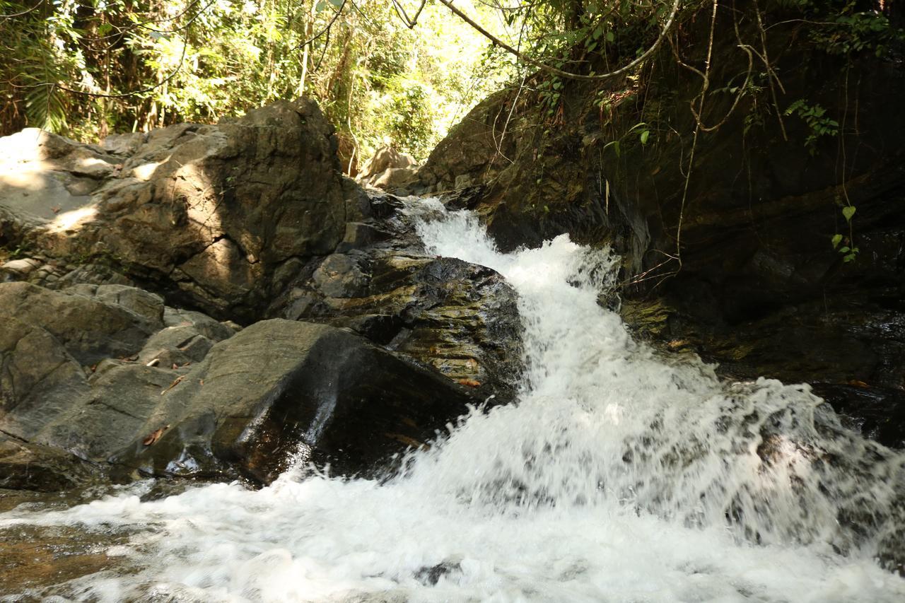 Gallene Gala Nature Resort 基图尔格勒 外观 照片