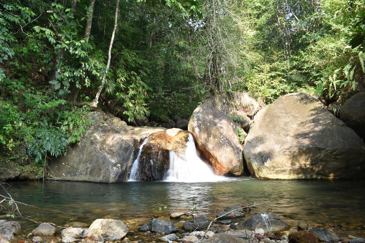 Gallene Gala Nature Resort 基图尔格勒 外观 照片