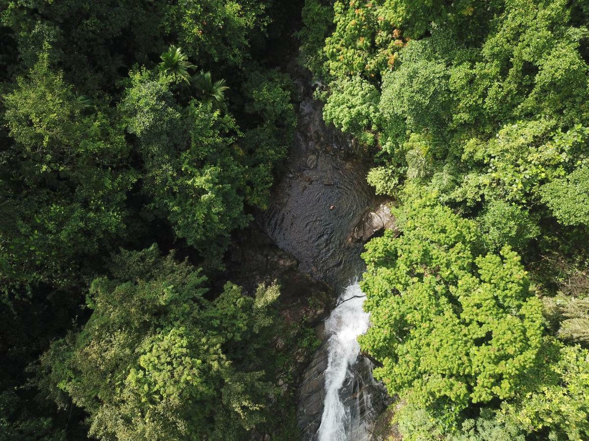 Gallene Gala Nature Resort 基图尔格勒 外观 照片